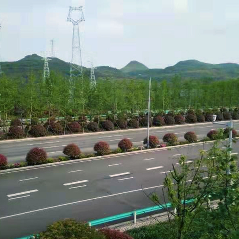 贵州省安新区高峰山大道景观覆绿后